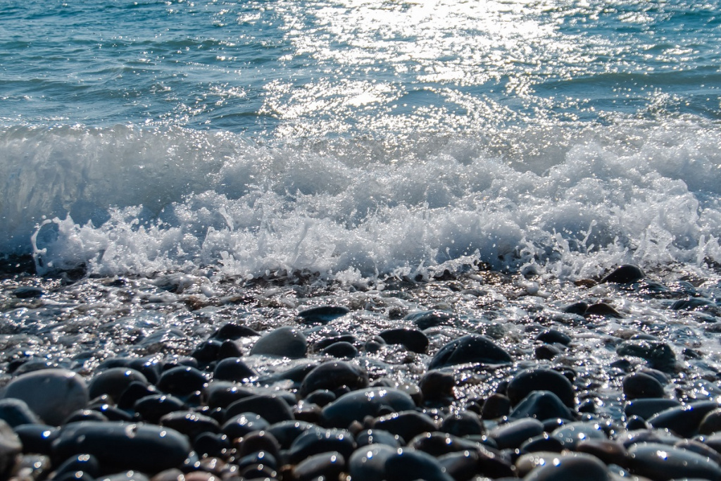 IMG_1169.jpg IMG_1169.jpg