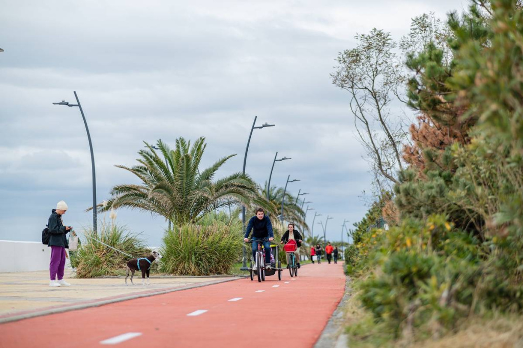 SIRIUS-279491.jpeg SIRIUS-279491.jpeg