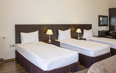 Стандарт без кухни с тремя кроватями