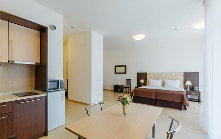 Студия с кухней