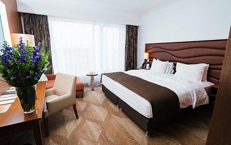 Стандарт (1 большая кровать)