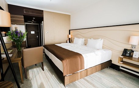 Стандарт (1 большая кровать)