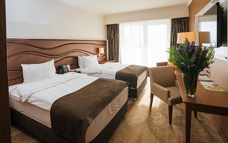 Стандарт с видом на море (2 отдельные кровати)