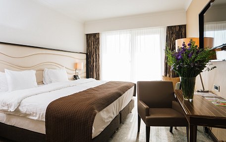 Стандарт с видом на море (кровать-трансформер)