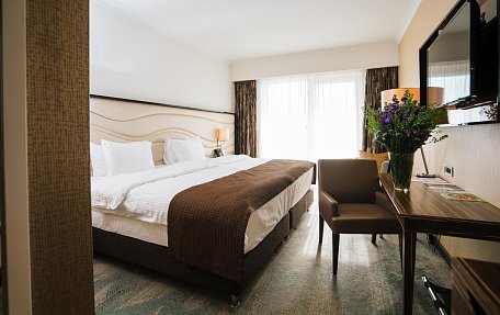 Стандарт (1 большая кровать)